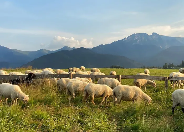 Apartment Pod Wierchem *