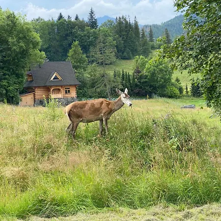 Pod Wierchem Lägenhet Zakopane