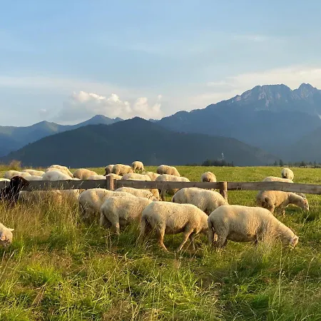 Apartman Pod Wierchem *